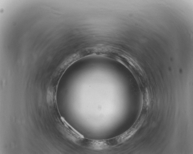 X0000085240333200703161343