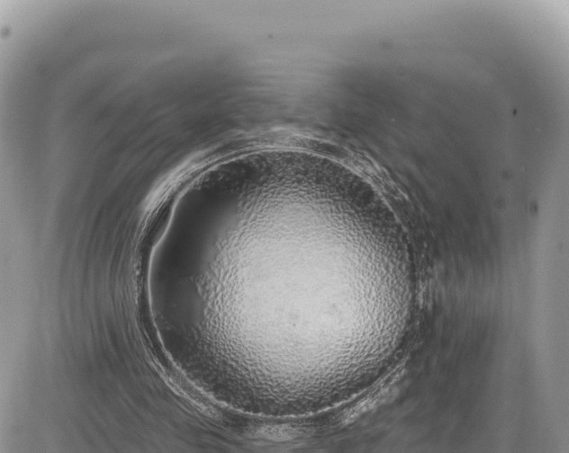 X0000085240341200703161342