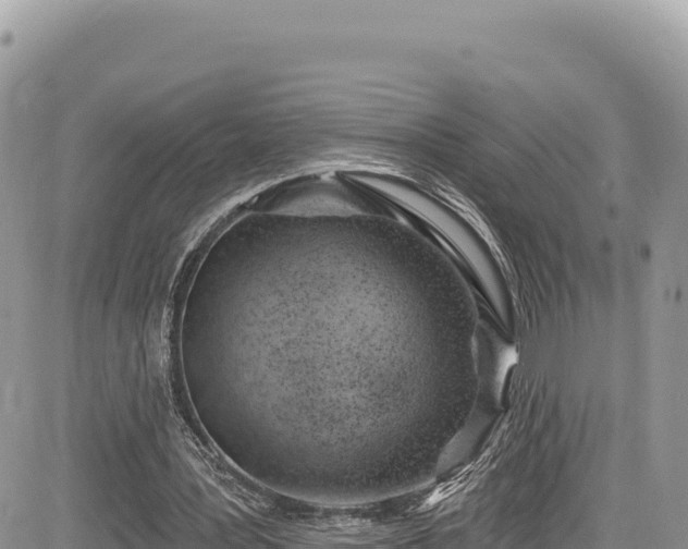 X0000085240387200703161342
