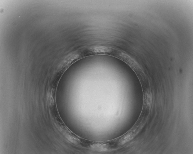 X0000085240422200703161341