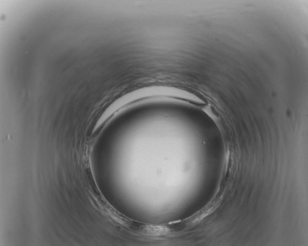 X0000085240429200703161341