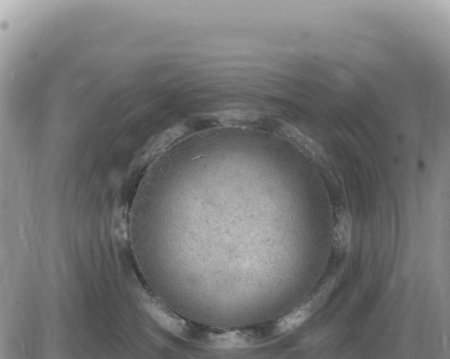 X0000085240430200703161341