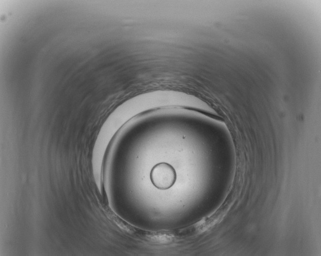 X0000085240432200703161341