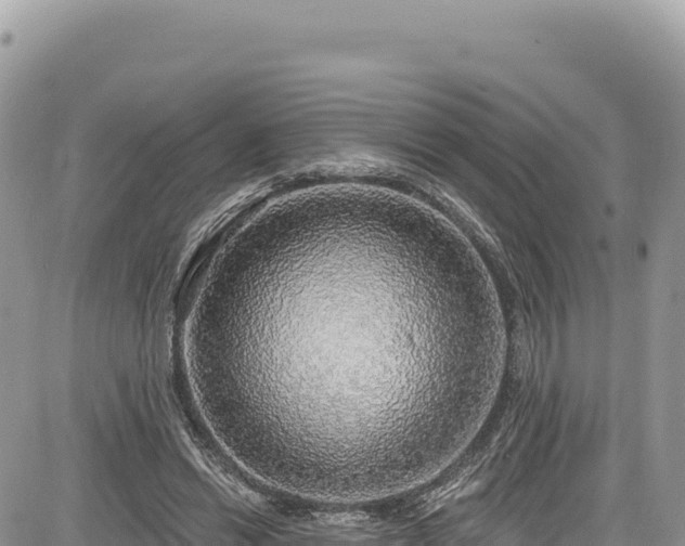 X0000085240446200703161340