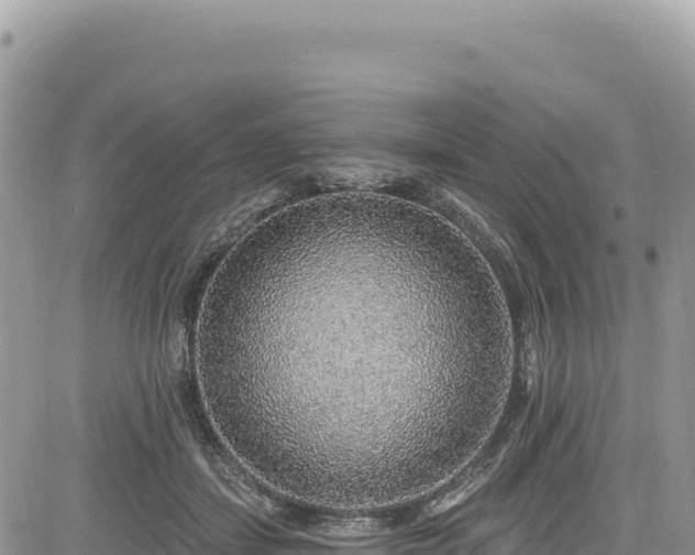 X0000085240459200703161341