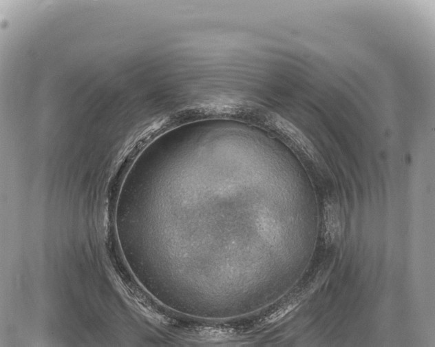 X0000085240494200703161340