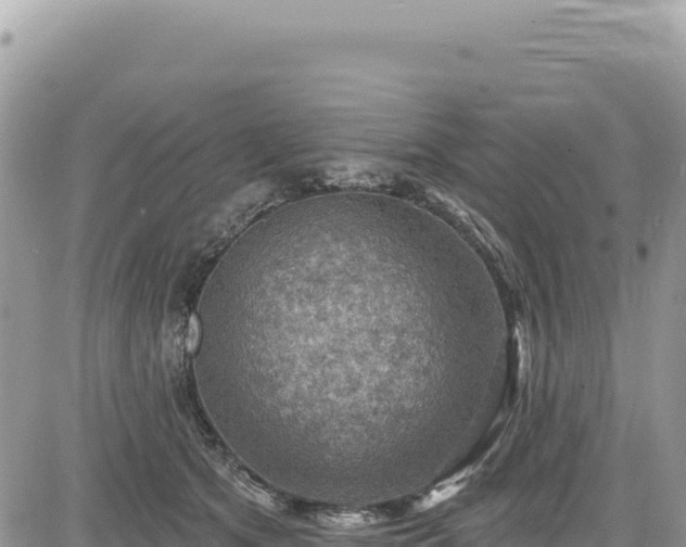 X0000085240513200703161340