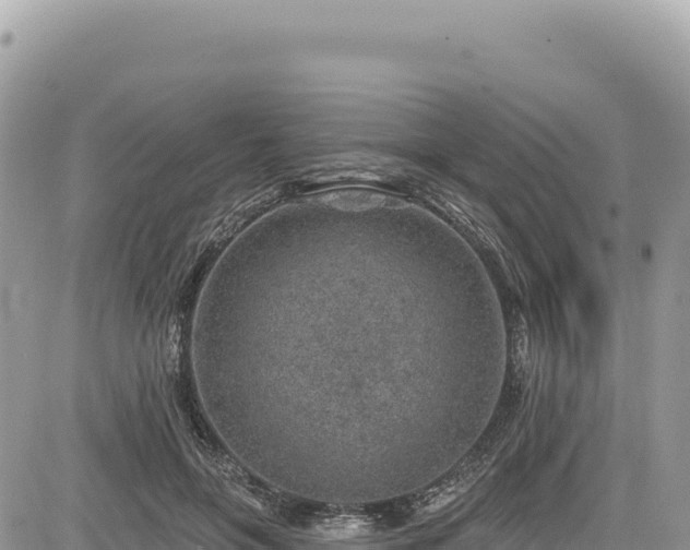 X0000085240551200703161339