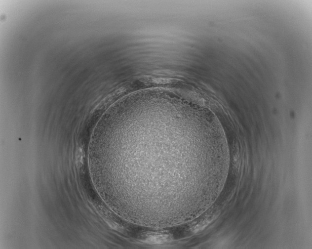 X0000085240555200703161339