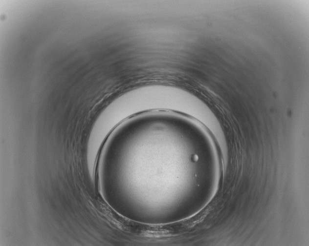 X0000085240556200703161339