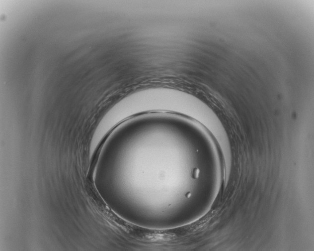 X0000085240558200703161339