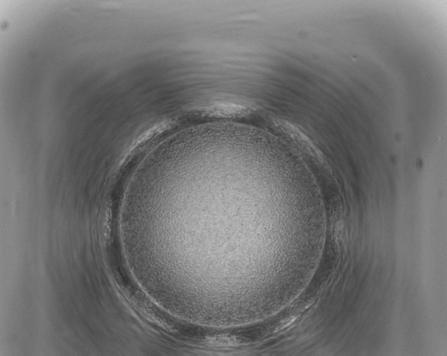 X0000085240591200703161338