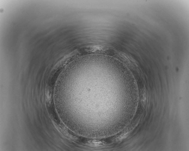 X0000085240607200703161338