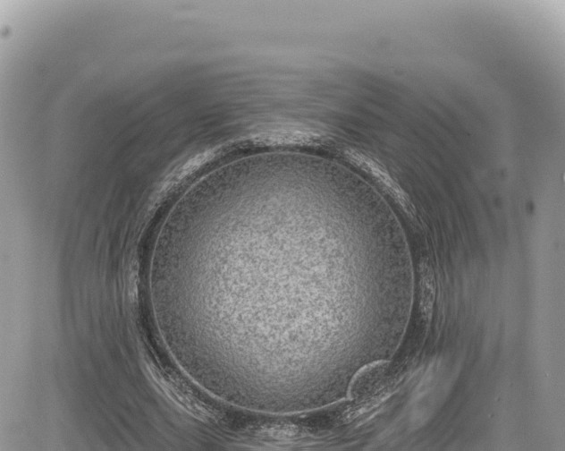 X0000085240631200703161337