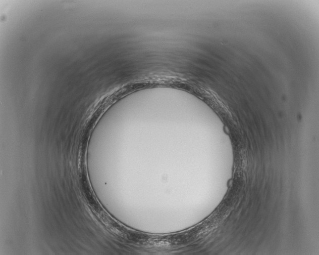 X0000085240640200703161337