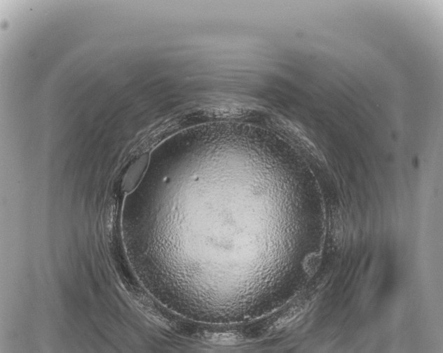 X0000085240645200703161337