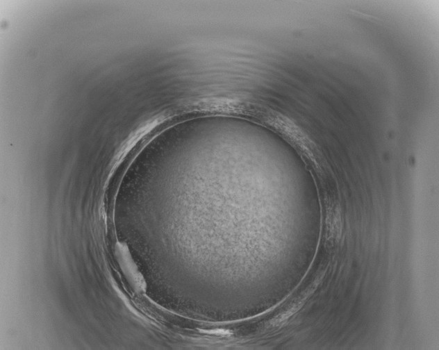 X0000085240674200703161337