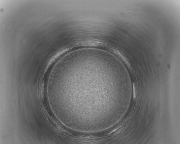 X0000085240675200703161337