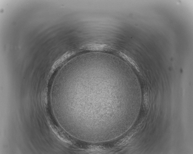 X0000085240682200703161337