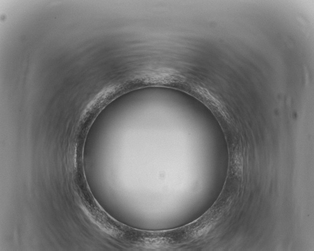 X0000085240686200703161337