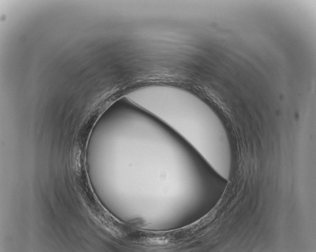 X0000085240692200703161336