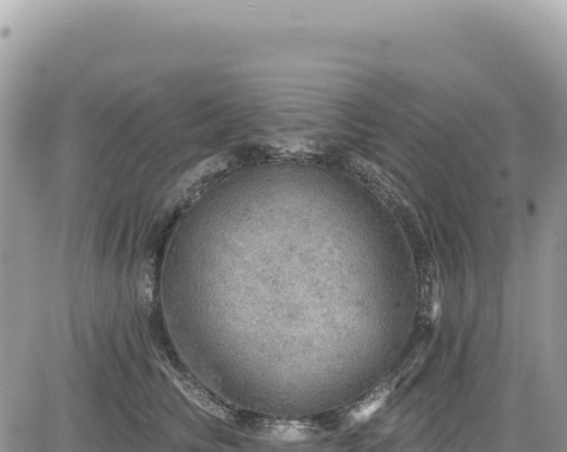 X0000085240710200703161336