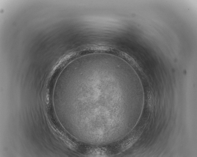 X0000085240731200703161335