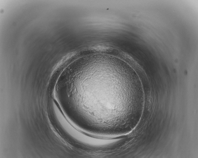 X0000085240734200703161335