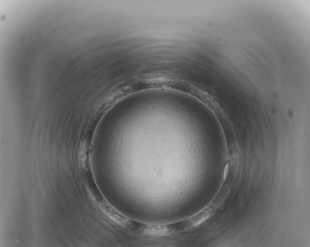 X0000085240767200703161336