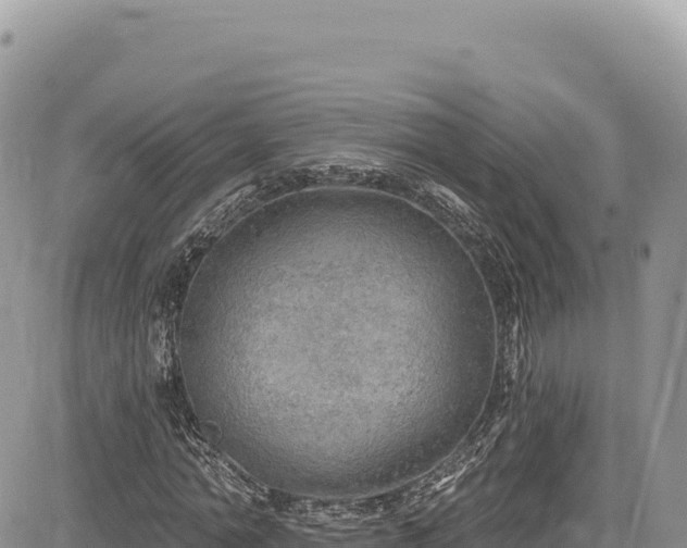 X0000085240774200703161335