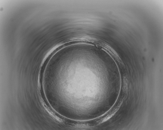 X0000085240788200703161335
