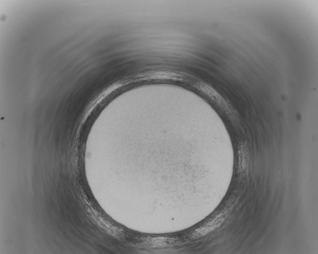 X0000085240828200703161334