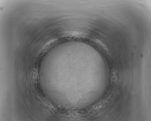 X0000085240918200703161332