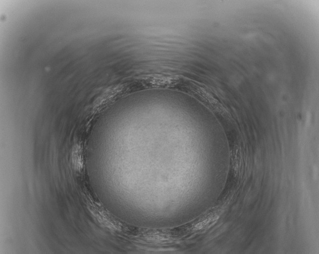 X0000085240962200703161332