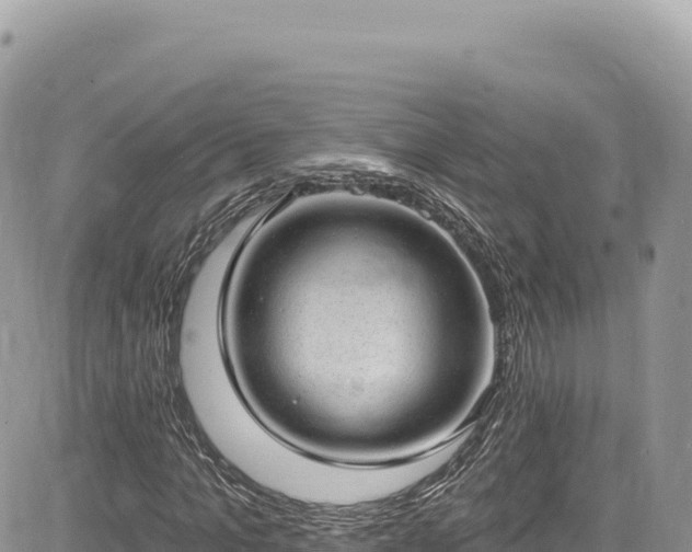 X0000085240965200703161332