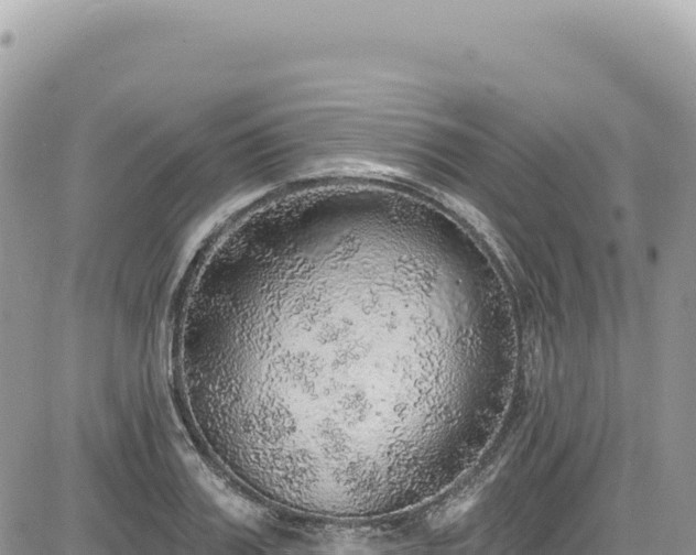 X0000085240987200703161332