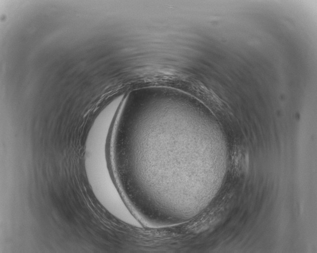 X0000085241012200703161330
