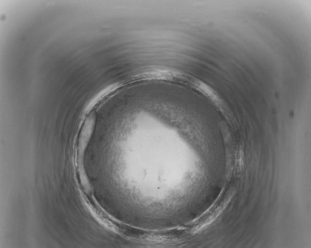 X0000085241034200703161331