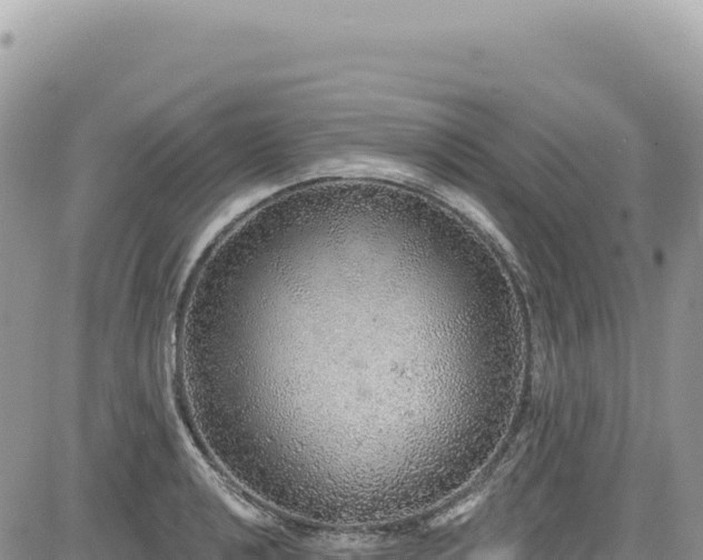 X0000085241040200703161331