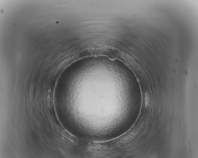 X0000085241059200703161330