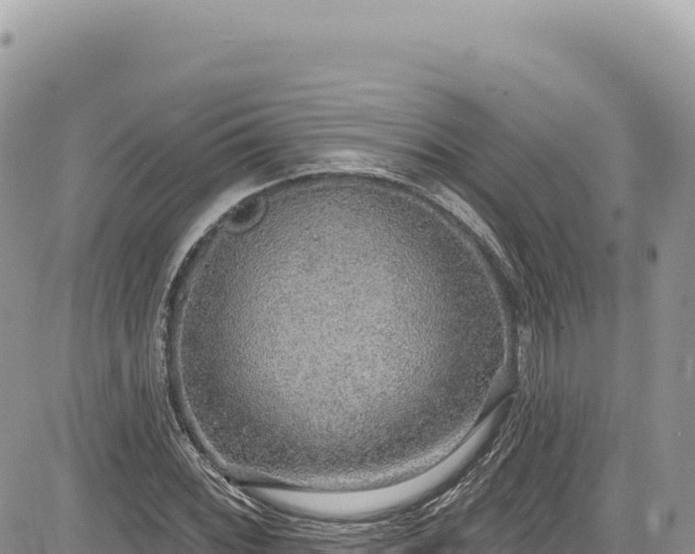 X0000085241068200703161330