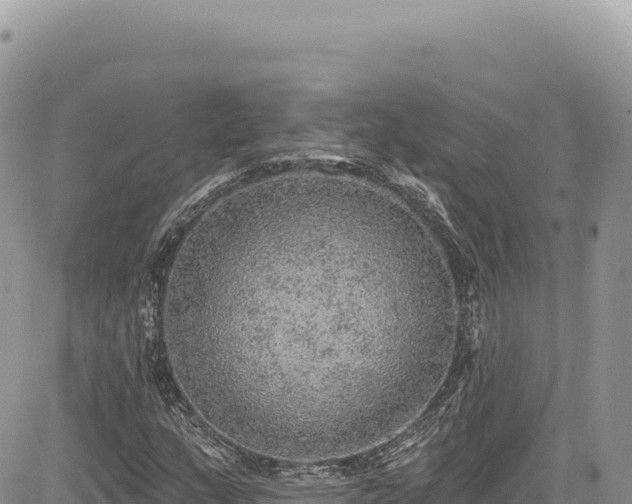X0000085241159200703161329