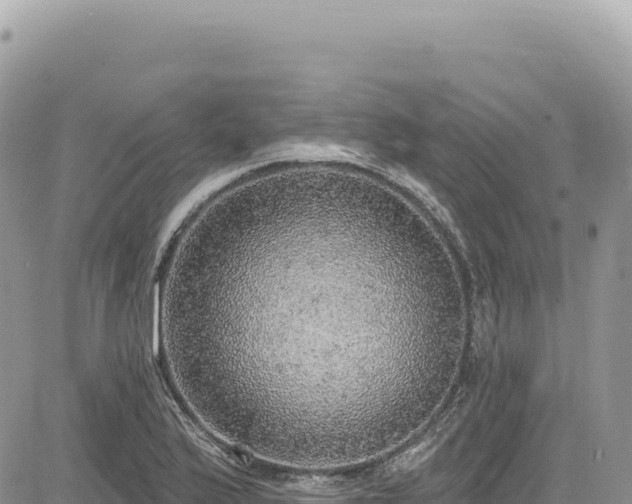 X0000085241175200703161328