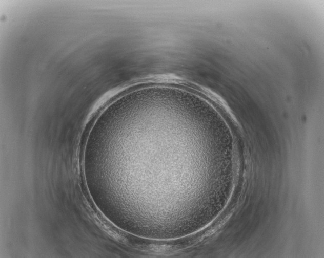 X0000085241176200703161328