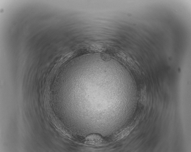 X0000085241201200703161327