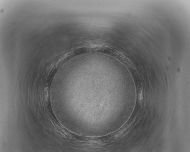 X0000085241204200703161327