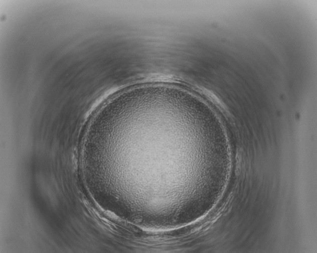 X0000085241212200703161327