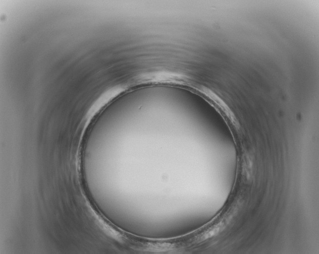 X0000085241285200703161327