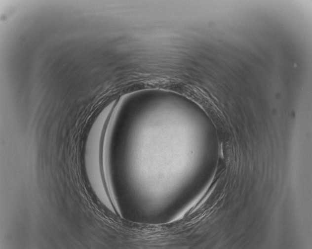 X0000085241345200703161326