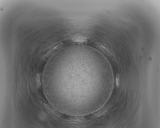 X0000085241347200703161326